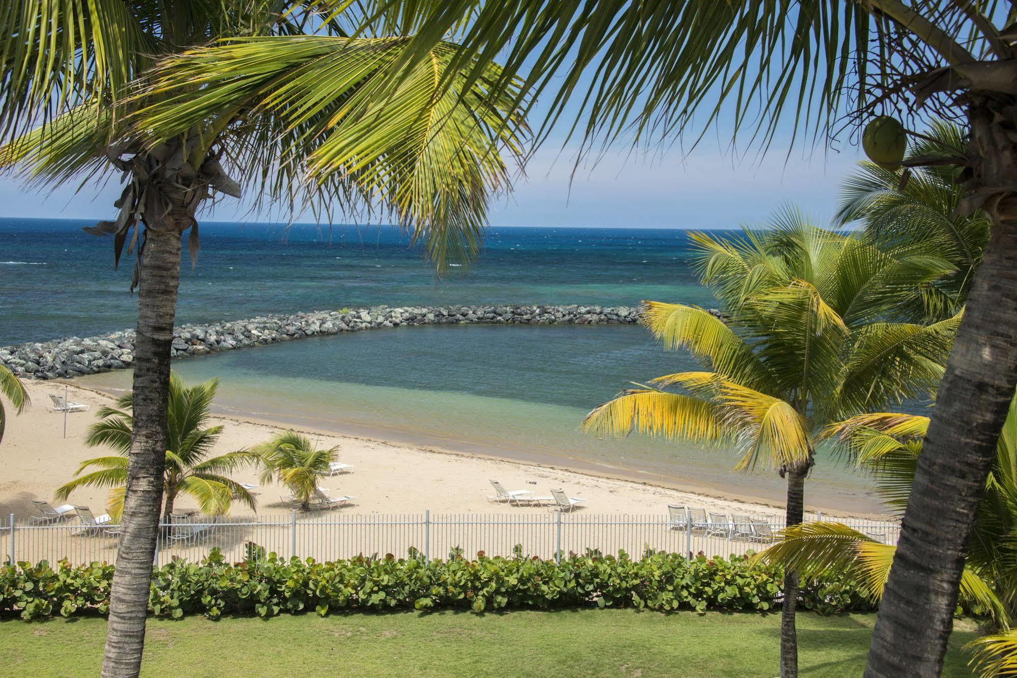 Aquarius Vacation Club At Dorado Del Mar Hotell Exteriör bild