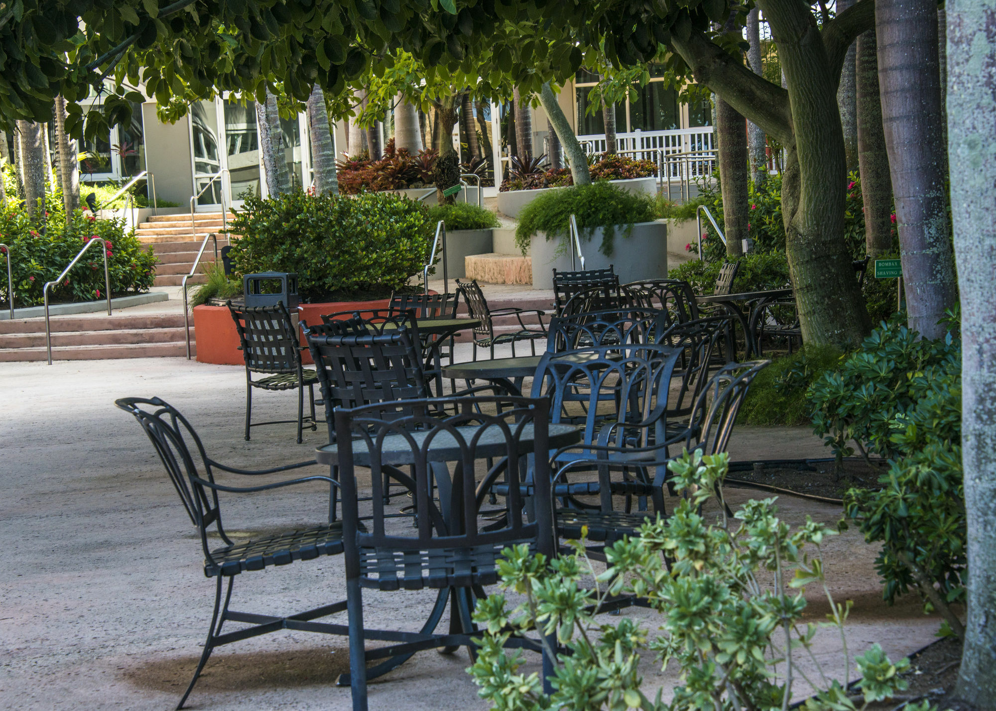 Aquarius Vacation Club At Dorado Del Mar Hotell Exteriör bild